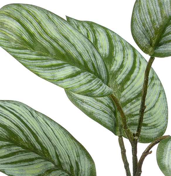 Nahaufnahme künstlicher Pflanzenblätter mit Streifenmuster in Calathea Optik.