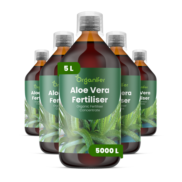Organifer Aloe Vera Dünger, organisches Düngerkonzentrat, 5 Liter Flasche für bis zu 5000 Liter Gießwasser.