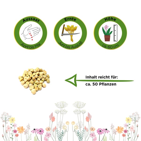 Symbole für Aussaat von April bis Mai, Ernte von Juni bis August, Wuchshöhe circa 60 Zentimeter. Inhalt ausreichend für circa 50 Pflanzen.