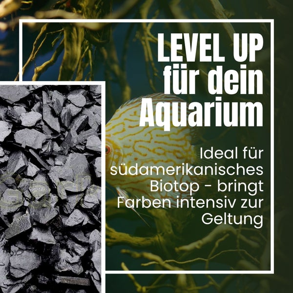 Dekorative Schiefersteine für Aquarien