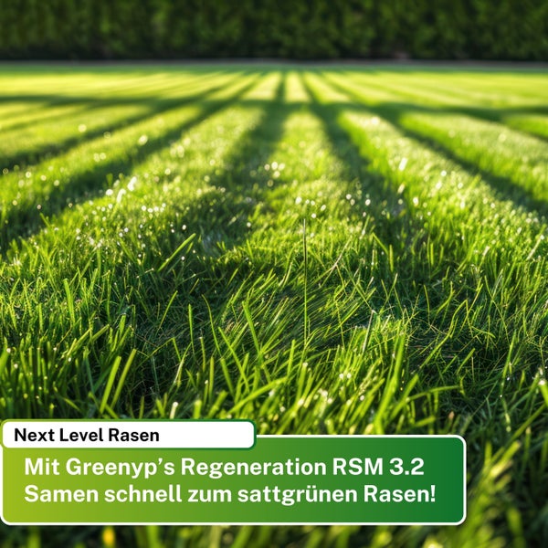 Greenyp Turbo Nachsaat I RSM Rasensamen Nachsaat 3.2 I 5kg für 200m² I Schnellkeimender Rasen I Rasensaat Reparaturrasen Grassamen