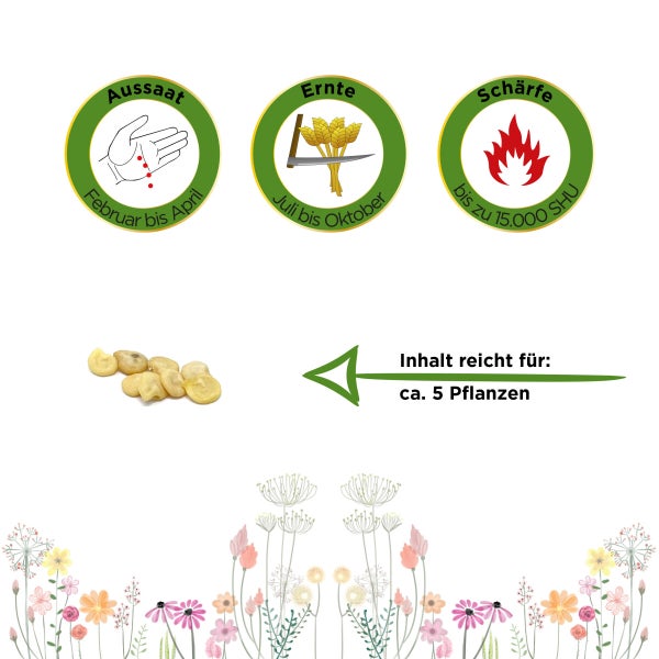 Chili Bishops Crown Samen von Deine Gartenwelt