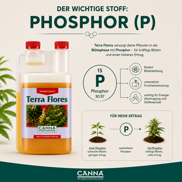 Canna Terra Flores Blumendünger mit Phosphor für die Blütephase zur Förderung von Blütenbildung und Ertrag mit Canna Logo.