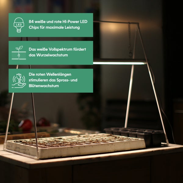 Parus by Venso Grow Light Duo mit Stativ LED Pflanzenlampe Vollspektrum 20W Anzuchtlampe LED Pflanzenleuchte für Gemüse, Kräuter und Blühpflanzen, Venso Ecosolutions, Wachstumslampe für Pflanzen