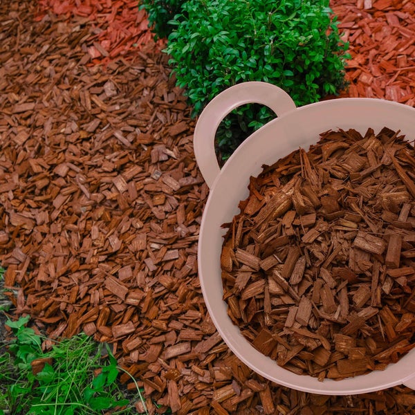 Brauner Dekomulch in einem weißen Eimer und auf einer Gartenfläche verteilt, neben grünen Pflanzen.