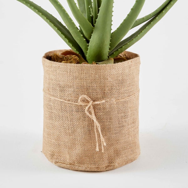 Künstliche Aloe Vera Pflanze im dekorativen Jutesack mit Kordel.
