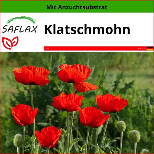 SAFLAX  - Klatschmohn - Papaver rhoeas - 27000 Samen - Mit keimfreiem Anzuchtsubstrat