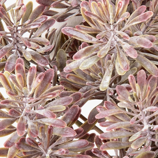 Künstliches Pampasgras mit drei braunen Wedeln und grünen Blättern.