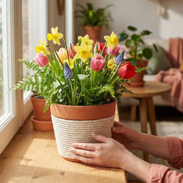 Frühlingsblumenarrangement mit Narzissen, Tulpen und Traubenhyazinthen in einem Tontopf mit Seilummantelung auf einer Fensterbank.