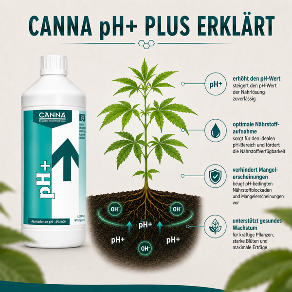 Infografik zeigt Canna pH Plus zur Erhöhung des pH-Wertes in der Nährlösung für Pflanzen zur optimalen Nährstoffaufnahme und gesundem Wachstum.