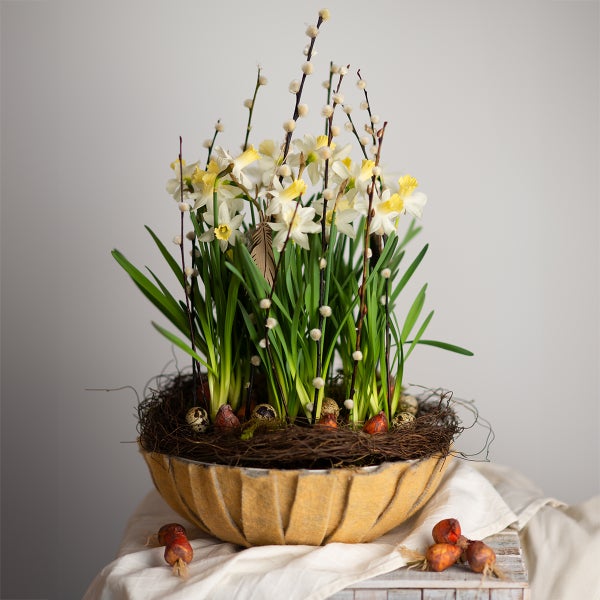 Frühlingsgesteck in einer dekorativen Schale mit weißen Narzissen, Weidenkätzchenzweigen, grünen Blättern und dekorativen Eiern.