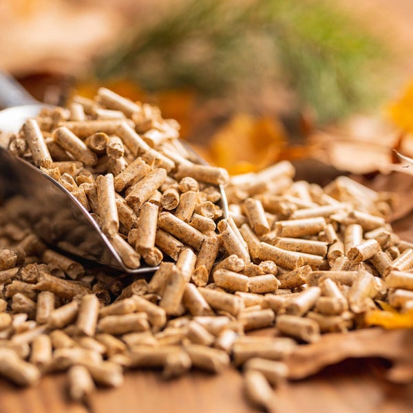 Holzpellets auf einer Metallschaufel und verstreut, Nahaufnahme als Brennstoff für Pelletheizungen.