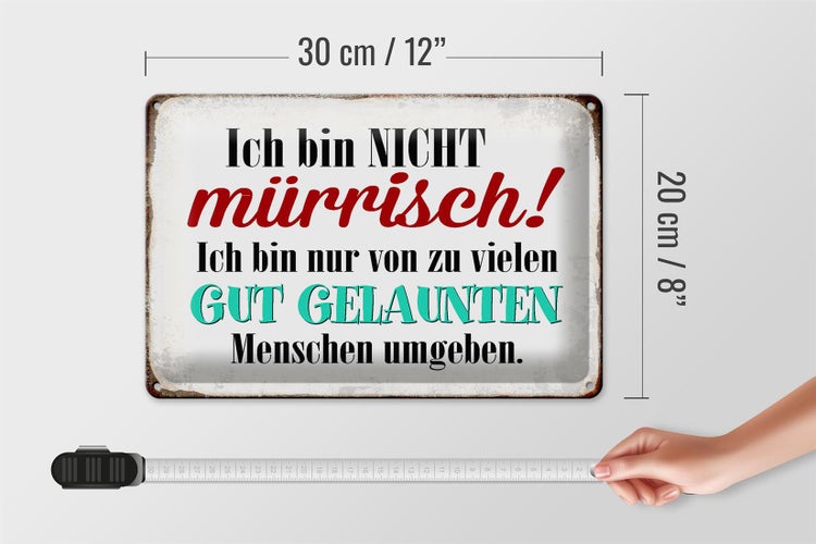 Blechschild Spruch 30x20cm ich bin nicht mürrisch bin nur