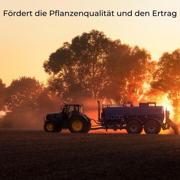 Naturdünger mit Rinderdung 12,5 Kg Pellets Biodünger organischer Langzeit Dünger Garten Gemüsedünger Tomatendünger Beerendünger Bodenaktivator