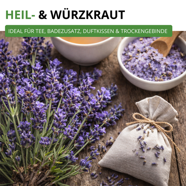 Lavendel als Heil- und Würzkraut für Tee, Badezusatz, Duftkissen und Trockengebinde, mit Tasse, Badesalz und Duftsäckchen auf Holz.