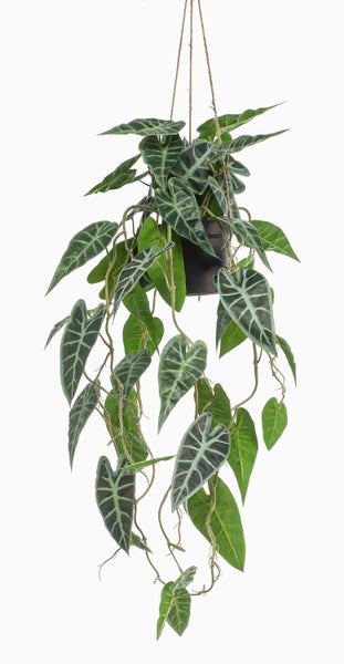 Künstliche Hängepflanze Alocasia im schwarzen Topf mit Juteseil.