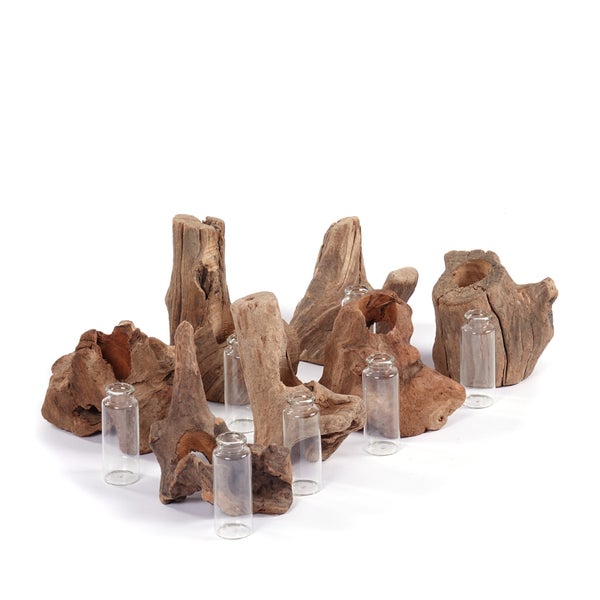 Vase Yuma  13x11 cm, Wurzelholz, mit Reagenzglas-Einsatz naturfarben