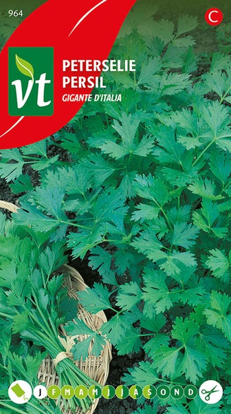Petersilie Gigante d'Italia Samen