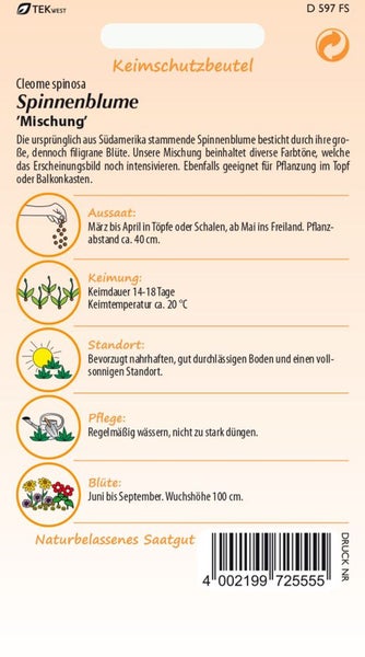 Samenpackung Spinnenblume Mischung