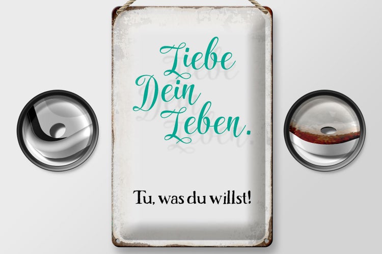 Blechschild Spruch 20x30cm liebe dein Leben tue was willst