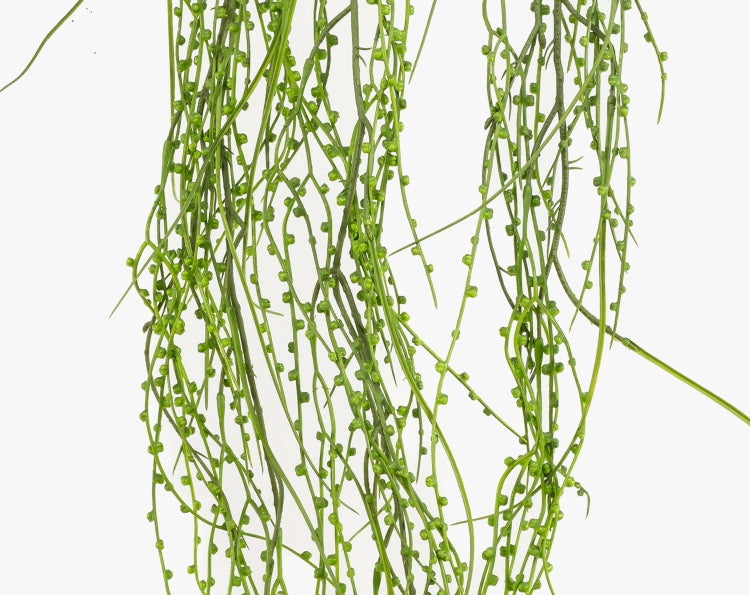 Nahaufnahme eines tief gelappten grünen Philodendron-Blattes mit ausgeprägten Blattadern.