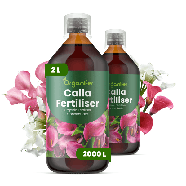 Organifer Calla Dünger, organisches Düngerkonzentrat, zwei 2 Liter Flaschen, ergibt bis zu 2000 Liter Gießwasser.