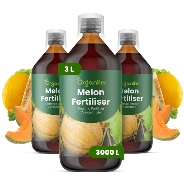 Drei Flaschen Organifer biologischer Melonendünger, Konzentrat für 3000 Liter, organischer Flüssigdünger für Melonenpflanzen.