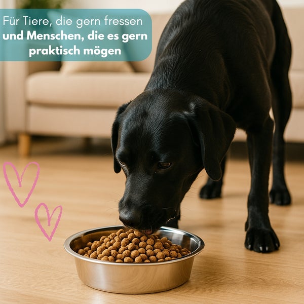 Ein schwarzer Labrador frisst Trockenfutter aus einem Edelstahltopf