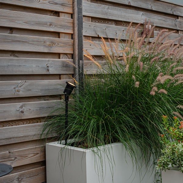 Gartenstrahler beleuchtet Ziergras in einem weißen Pflanzkasten vor einem Holzzaun.