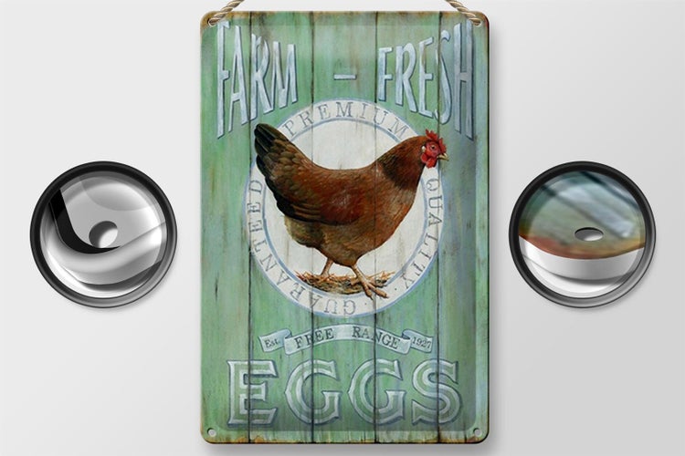 Blechschild Spruch 20x30cm Huhn Farm fresh Eggs free range