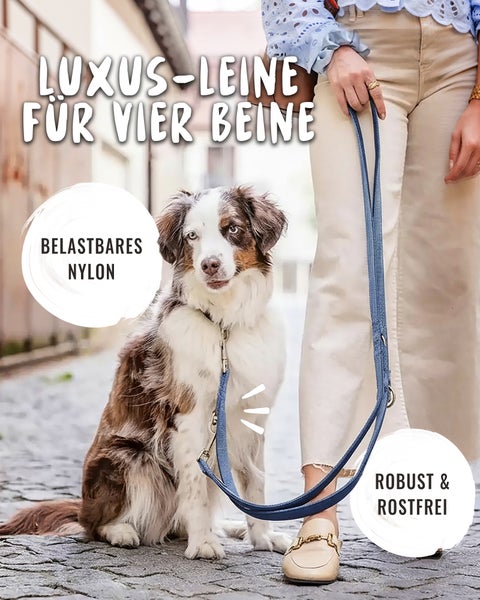 Blaue Hundeleine aus belastbarem Nylon, geführt von einer Person neben einem sitzenden Hund auf Kopfsteinpflaster, robust und rostfrei.