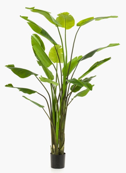 Künstliche Strelitzie im schwarzen Topf mit großen grünen Blättern.