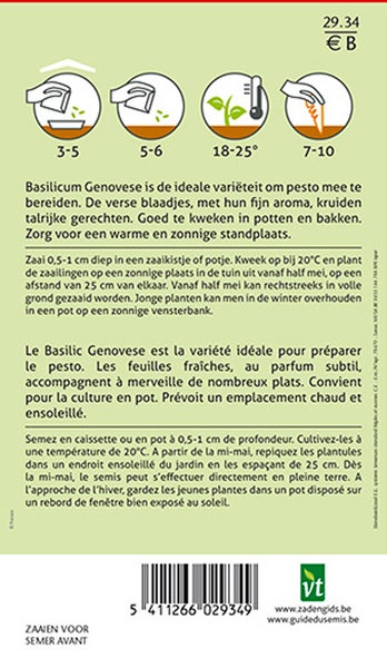Informationen zum Genoveser Basilikum