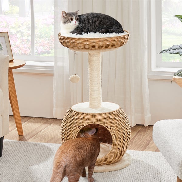Katzenkratzbaum mit zwei Ebenen und Katzen