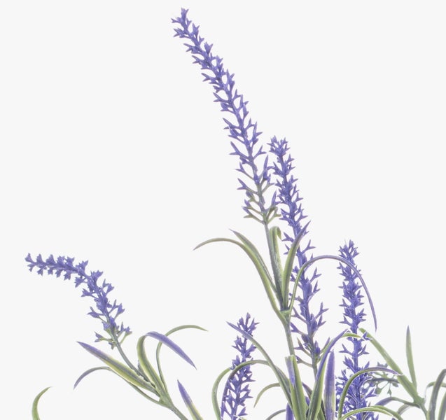 Künstlicher Lavendel mit mehreren violetten Blütenähren und grünen Blättern.