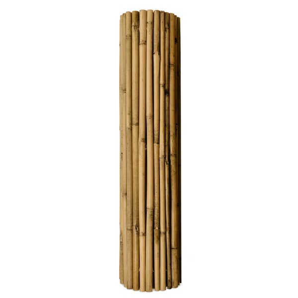 Sol Royal SolVision B38 Sichtschutzzaun 90x250cm Bambus