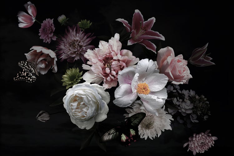 Wandbild mit barockem Blumenarrangement, Pfingstrosen, Rosen und Schmetterlingen auf dunklem Untergrund.