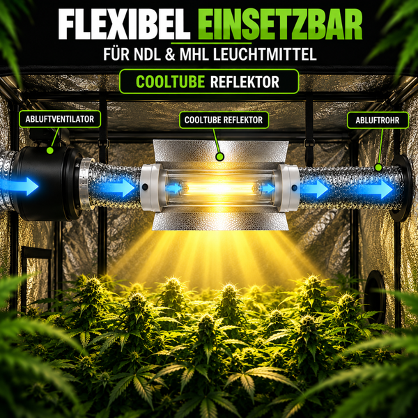 Cooltube Reflektor für Natriumdampflampen und Halogen-Metalldampflampen mit Abluftventilator und Abluftrohr in einer Growbox für Pflanzenbeleuchtung.