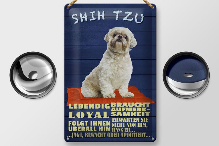 Blechschild Spruch 20x30cm Shih Tzu Hund lebendig loyal