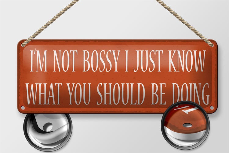 Blechschild Spruch 27x10cm i`m not bossy i just know what Dekoration