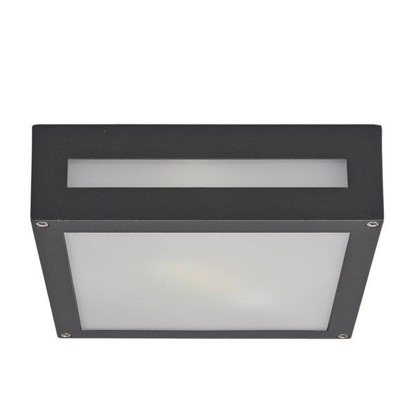 Quadratische Außenleuchte für Wand oder Decke in Anthrazit mit weißem Diffusor.