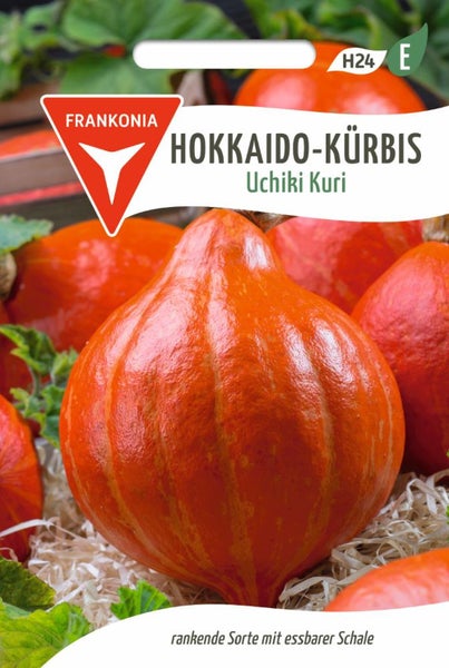 Hokkaido Kürbis Uchiki Kuri Samenpackung