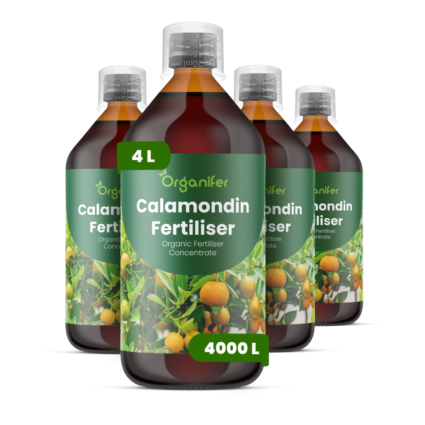Vier Flaschen Organifer Calamondin Dünger, organisches Flüssigdünger Konzentrat für 4000 Liter Gießwasser.