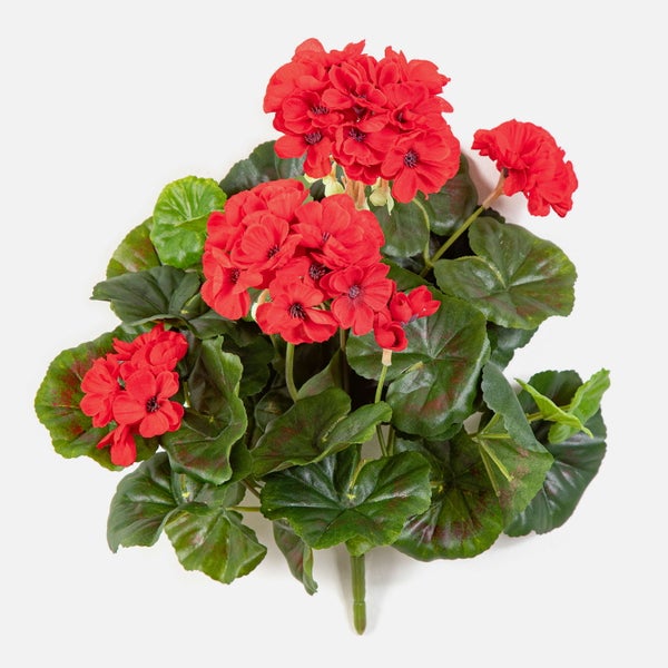 Künstliche Geranie mit roten Blüten und grünen Blättern.