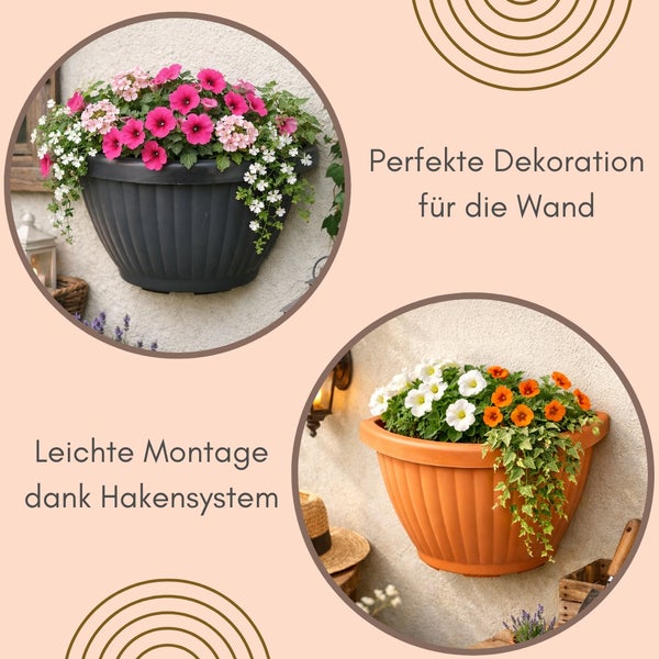 Wandblumentöpfe mit Haken zur einfachen Montage zur Dekoration für die Wand.