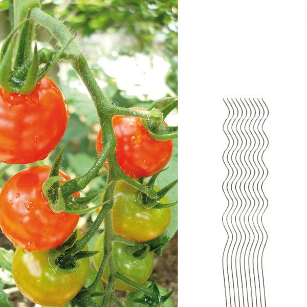 10 Tomatenspiralstäbe 110cm voll verzinkt Tomatenstab Tomaten Ranke Pflanzstab Stahl Profi Qualität Tomatenspiralstab