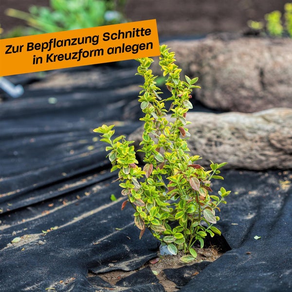 Hinrichs Unkrautvlies 50m - Gartenvlies gegen Unkraut - Unkraut Folie für Garten 50g/m²