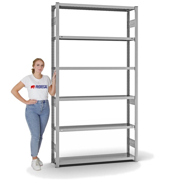 PROREGAL Fachbodenregal Stecksystem T-Profil Heavy-Duty Grundregal HxBxT 250 x 130 x 30 cm 6 Ebenen Fachlast 300 kg Beidseitig Nutzbar Verzinkt