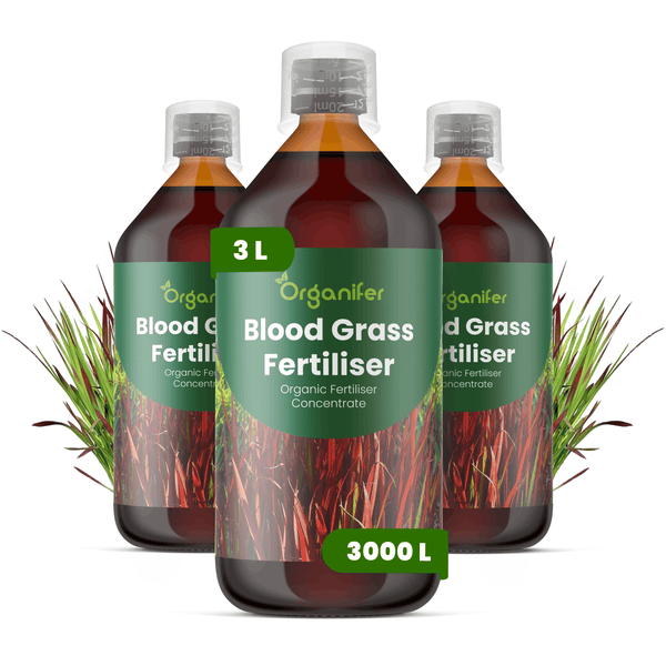 Organifer Blood Grass Flüssigdünger Konzentrat, 3 Liter Set für 3000 Liter Gießwasser, organisch.