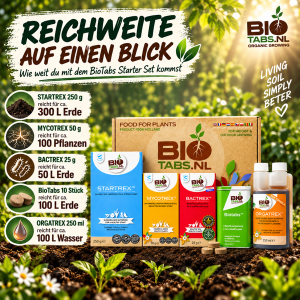 BioTabs Starter Set Übersicht mit Dosierungsangaben und Produktverpackungen auf Erdboden vor Gartenhintergrund.